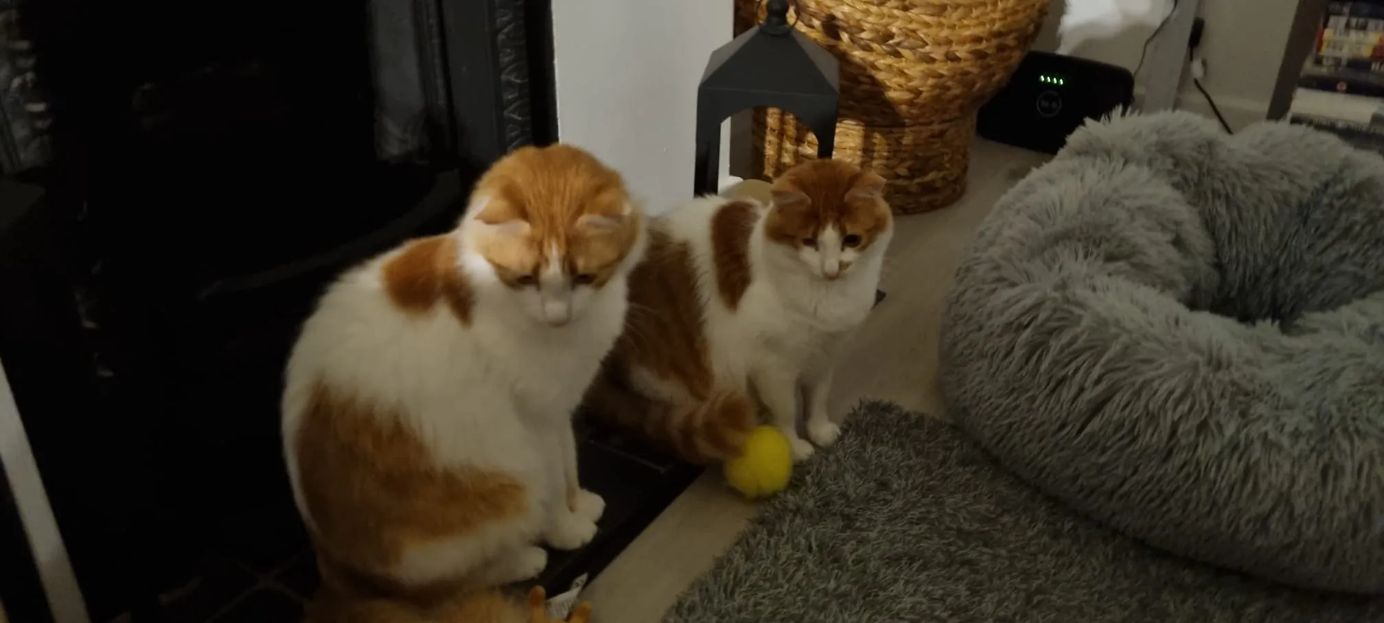 IMG 20221119 WA0007