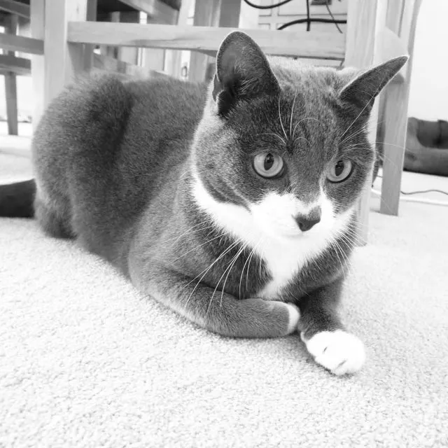 PHOTO 2020 09 13 09 40 39 640x640 1