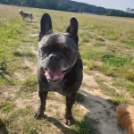 Rupert 640x640 1